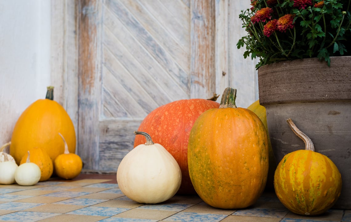 5 Zero-Waste Ideas for eco-friendly Pumpkin Decor