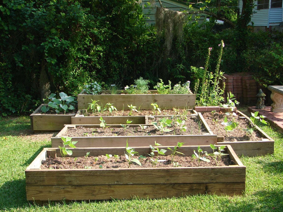 5 Ways to Maximize Your Gardening Potential