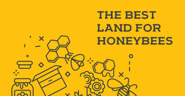 The Best Land for Honeybee Keeping Landing Page