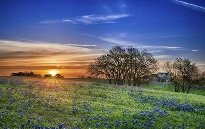 How_to_buy_land_in_Texas_Lead.jpg