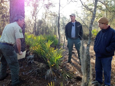 Forest ranger point out a tree to two men