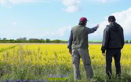 Land_agent-1.jpg