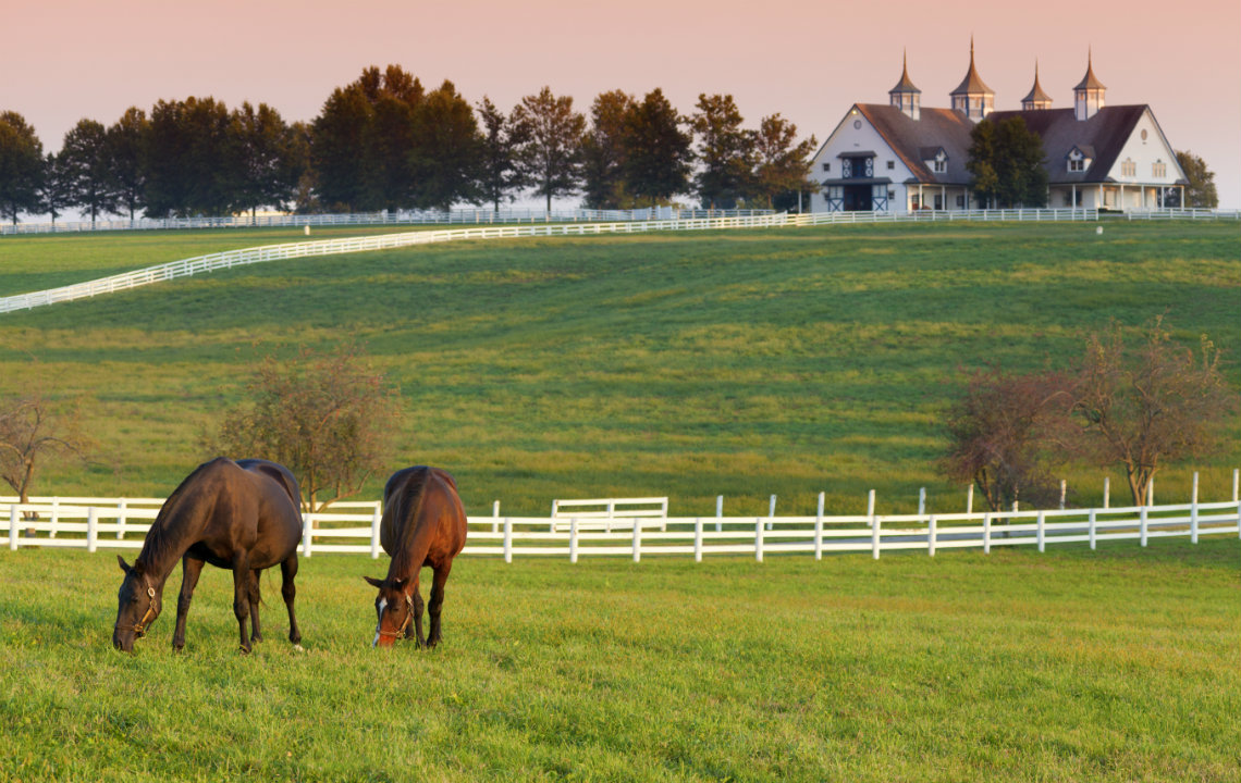How Many Acres Do You Need to Board Horses?