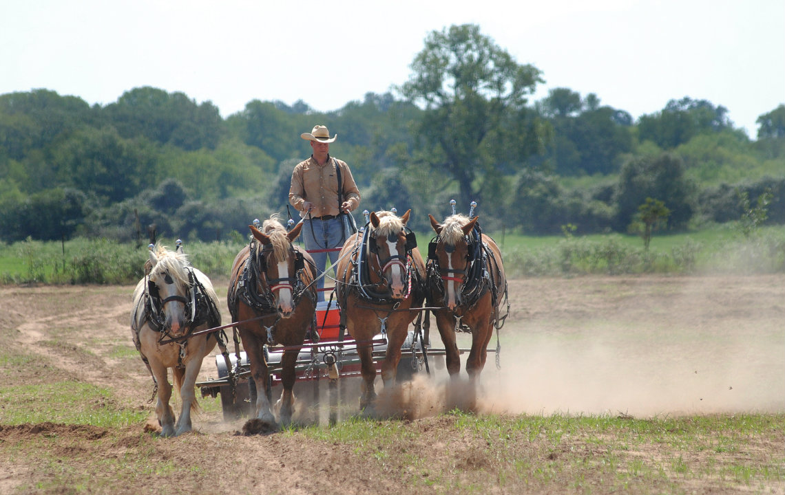 How many acres do you need for a hobby farm or homestead?