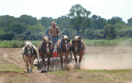 How many acres do you need for a hobby farm or homestead?