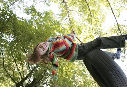 Country_Life_Tire_Swing.jpg