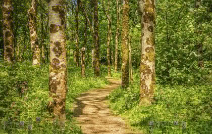 Terra incognita: The love of exploring land