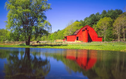 How to build a pond on your land.jpg