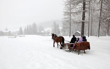 Carols come to life at Christmas in the country