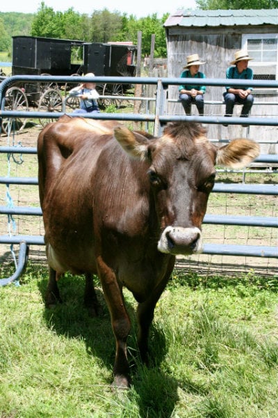 State and County Fair Origin.jpg