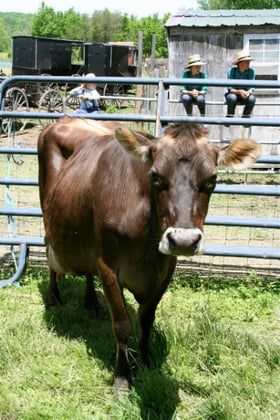 State and County Fair Origin.jpg