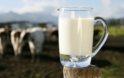 9 easy ways to use fresh milk
