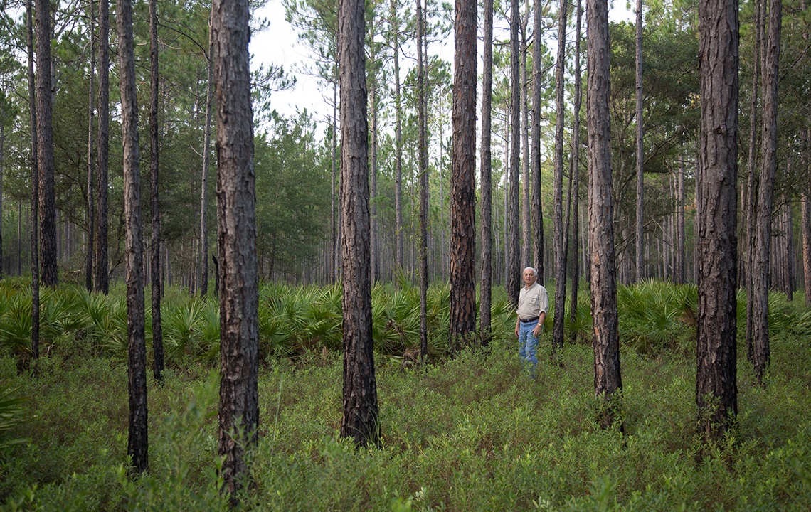 8 Tips to Find the Best Hunting Land in Florida
