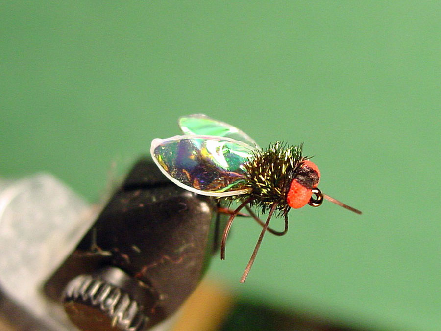 Teen masters the art of fly-tying