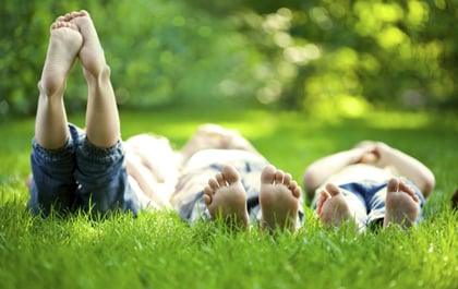 Lead_Earthing.jpg