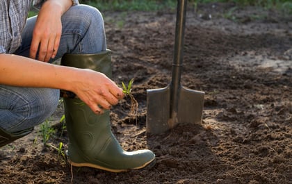 Simple Fall Garden Prep Trick = Less Spring Weeds