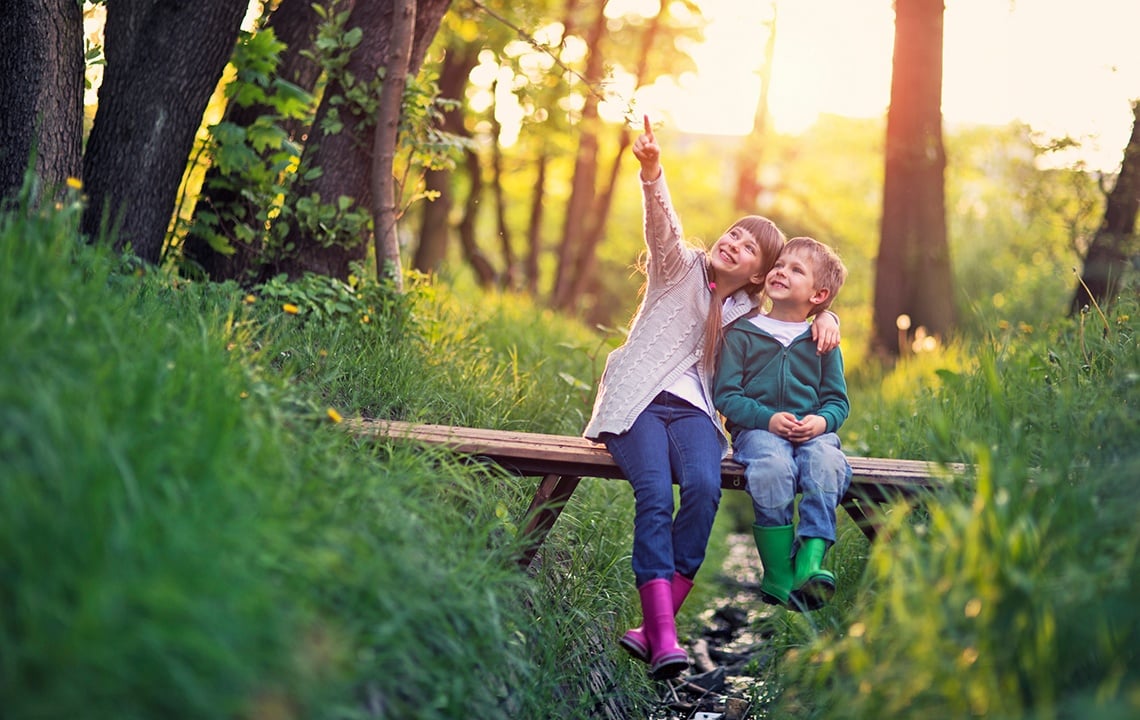 Want to be Healthier? Live Near Trees, Studies Say