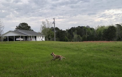 Never too young to own land