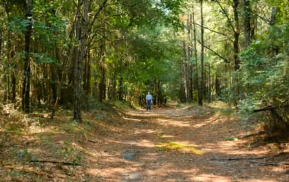 How big is an acre of land? | Rethink Rural Blog