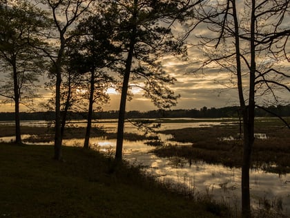 Lake_Tangipahoa_Sunset.jpg