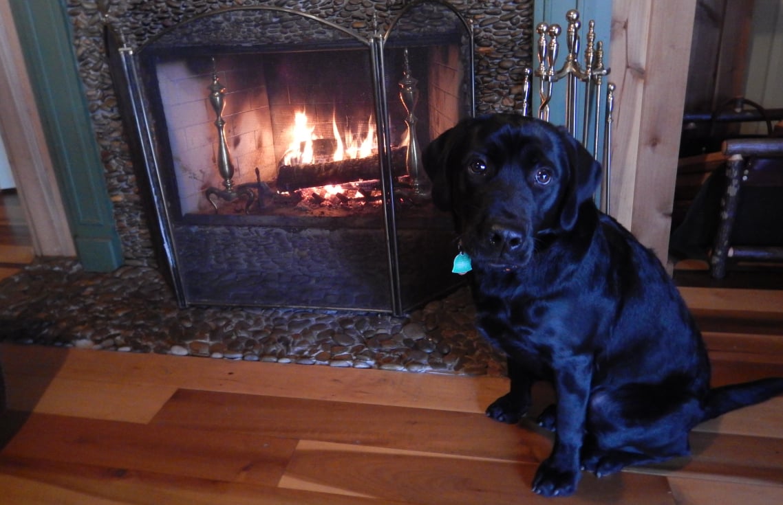 Chocolate Chip Crashes Christmas