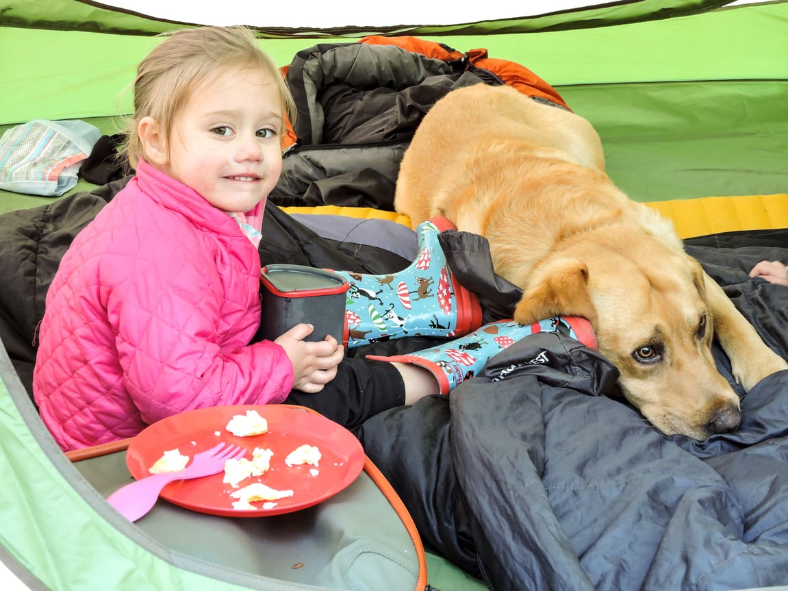 Camping with Toddlers---it is possible, here's how