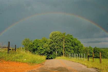 Finding Farm Wonder—From the Mundane to the Magnificent