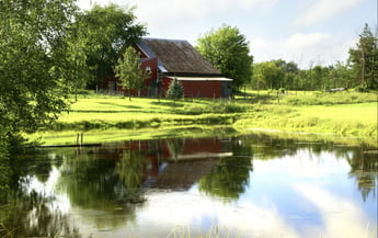 How to build a pond or lake on your property