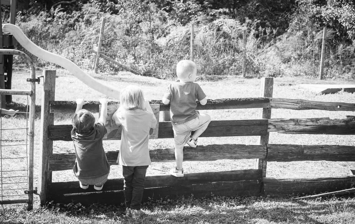 “Free-range” daycare: Preschool on a farm