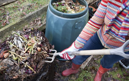 Composting for the Vermin-phobic - One Couple's Harrowing Story