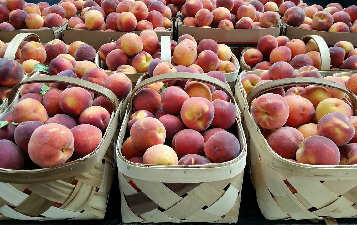 Georgia pick-your-own fruit and vegetable farms