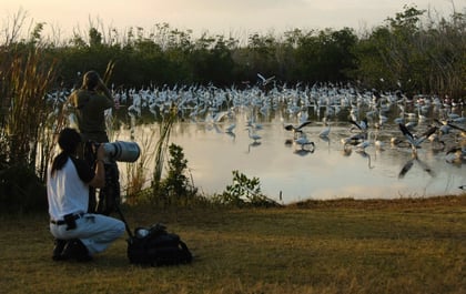 Birding Across the Southern USA | Rethink Rural Blog