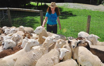 Vickey Russell gave up city life to become a shepherd