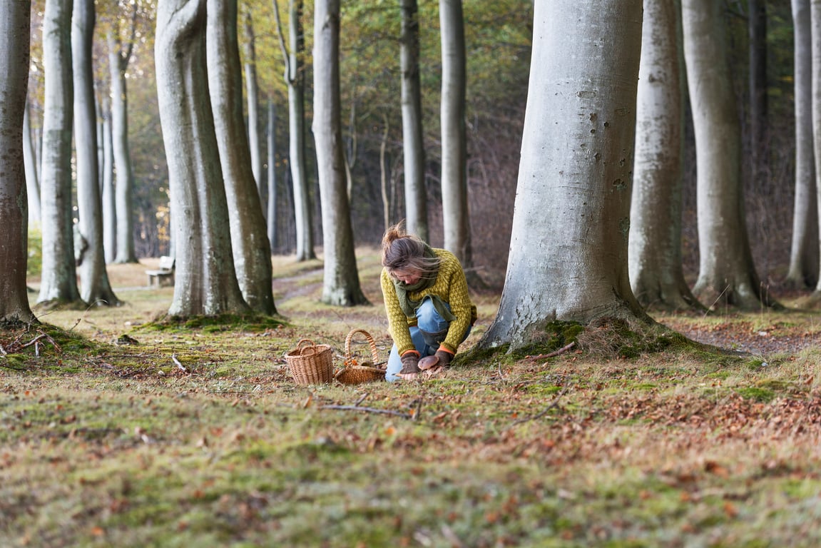 Foraging Tips for Beginners (and some spring “weeds” to try!)