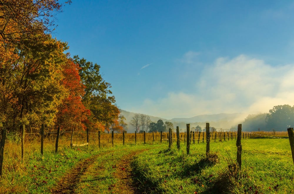 Autumn in the South: The Season Southerners Live For