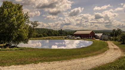 Pond Maintenance Part 1: Tips and Resources