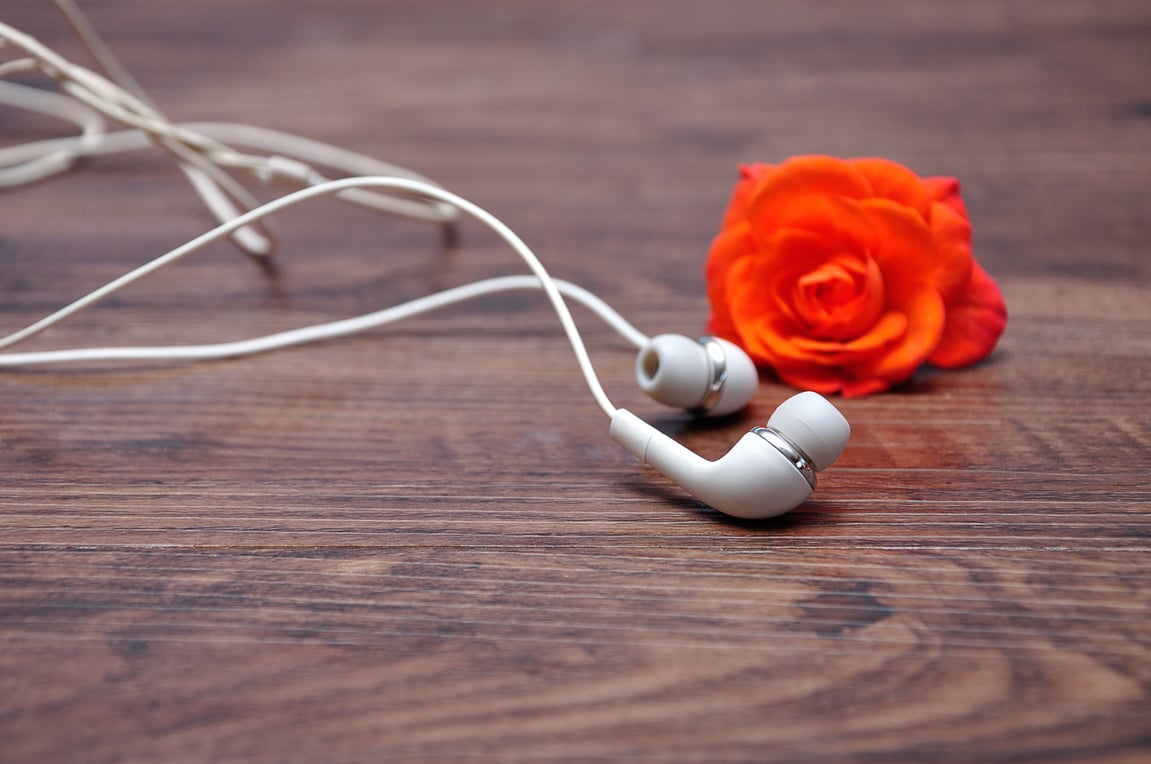 7 Homesteading Podcasts You Should Listen To