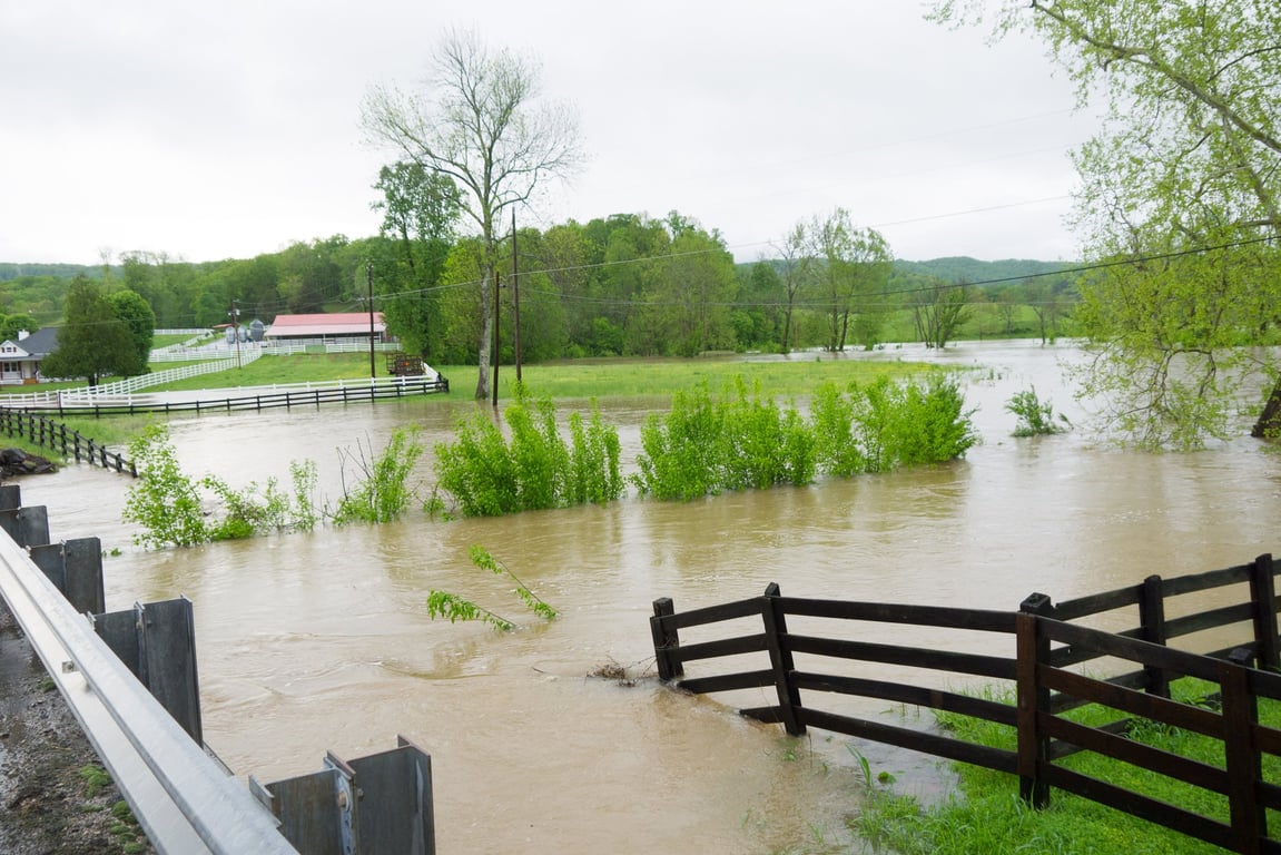 How to Prepare Your Farm or Homestead for a Hurricane