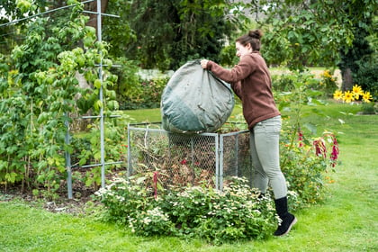 How (and why) to make your own leaf mulch