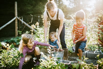 Bringing the Homestead into Your Homeschool