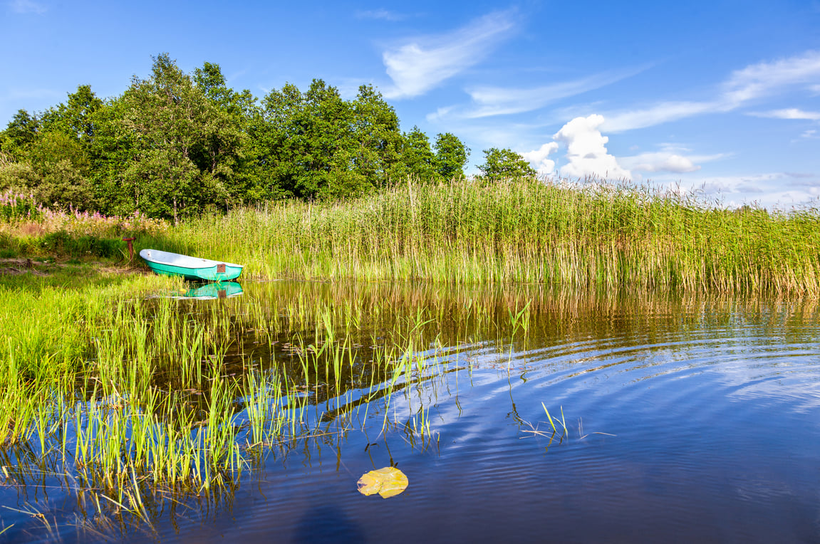 How To Improve Fish Habitat in Small Ponds