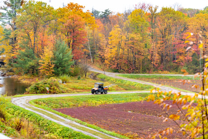 How To Buy The Right ATV or UTV For Your Rural Land