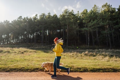 Running Rural: 3 Basic Safety Tips for Country Routes