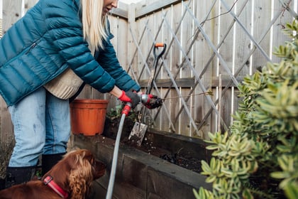 Late Winter Gardening: Things You Can Do in February to Prepare for Spring