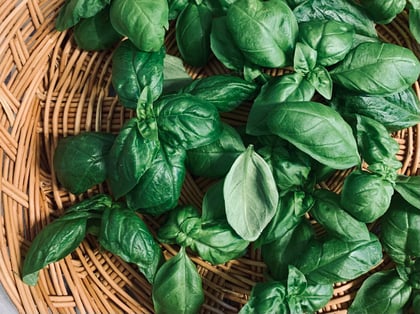 5 Ways to Preserve Basil