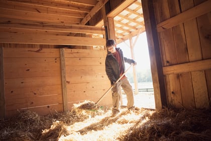 8 Tips on Winterizing Your Southern Hobby Farm