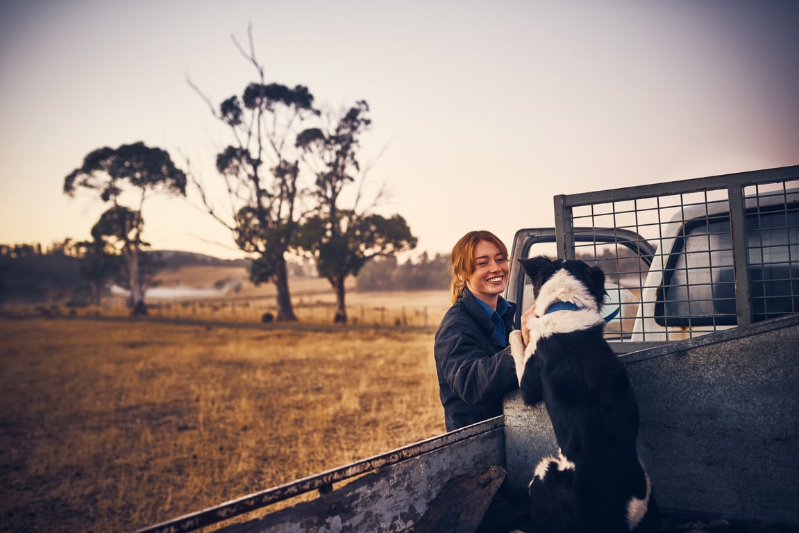 Farm Dogs: Introducing your pup to life on the farm