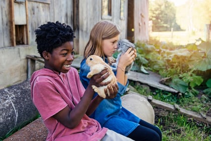 How to Raise Rabbits as Pets on A Hobby Farm