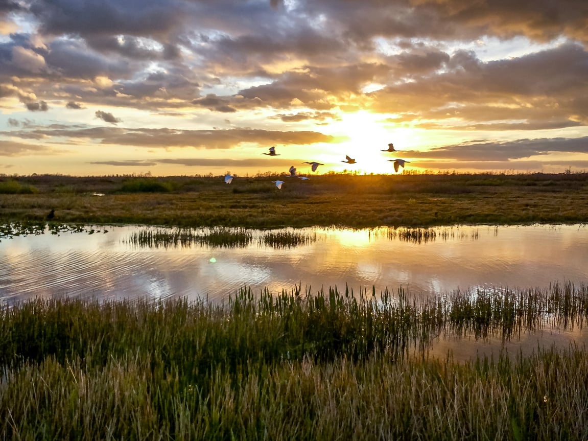 How To Buy Land in Louisiana, Part 1