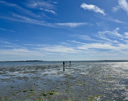A Quick Guide To Fossil Hunting On Your Next Beach Vacation